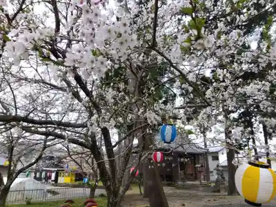 白山神社(福井県)