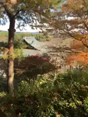 天龍寺の景色