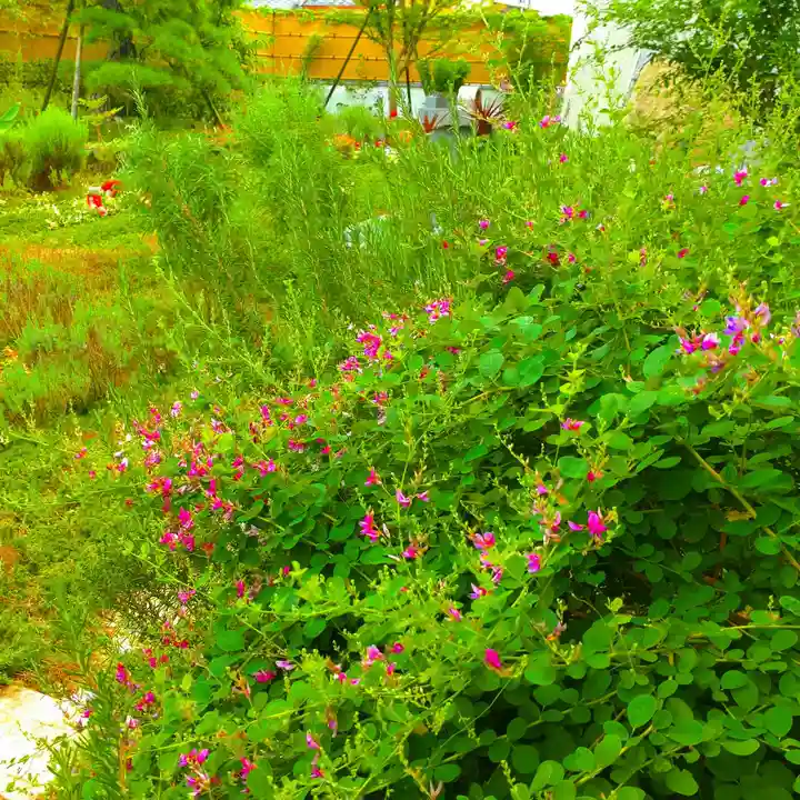 寿量山 速成寺(奈良県)