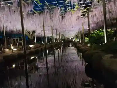 津島神社の周辺