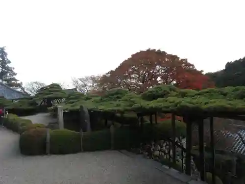 善峯寺の庭園