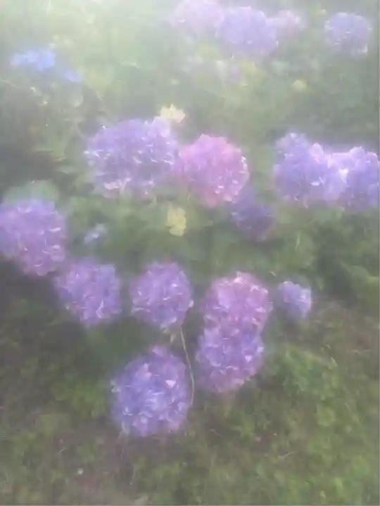 済渡寺(岡山県)