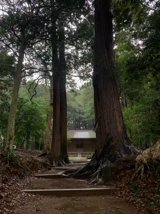 五社大神(千葉県)