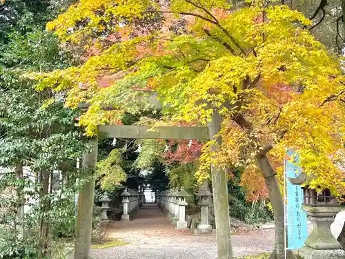 布氣皇舘太神社の鳥居