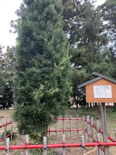 大東神社の建物その他