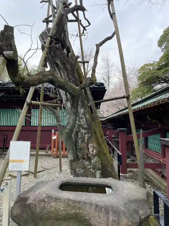 上野東照宮(東京都)