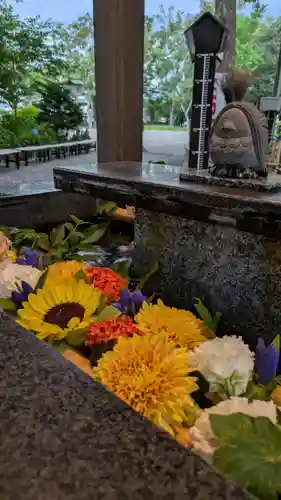 新琴似神社(北海道)
