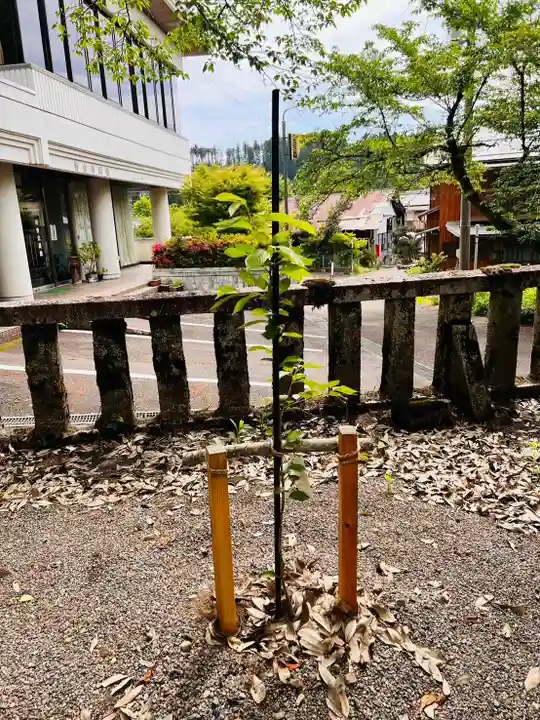 天鷹神社(岐阜県)