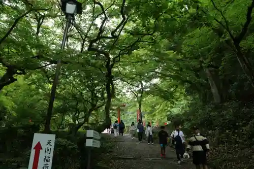 天開稲荷社の自然