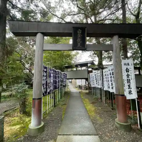 白金龍王社(愛知県)