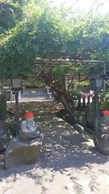 林泉寺のその他建物