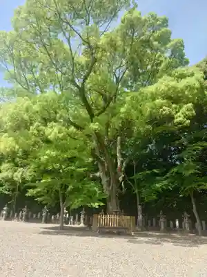 巴江神社(愛知県)