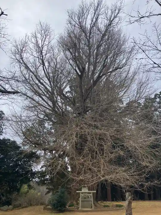 西蓮寺(茨城県)