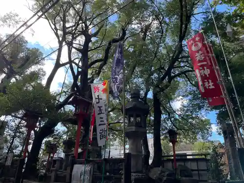 若一神社の自然