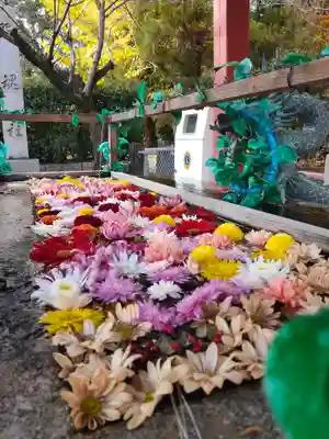 津島神社の手水舎
