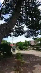 大徳寺の自然