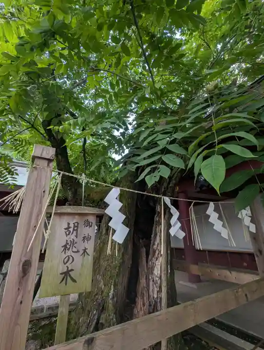 笠間稲荷神社(茨城県)