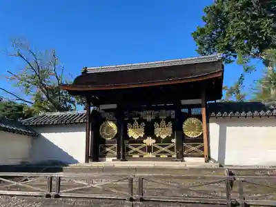 醍醐寺(京都府)
