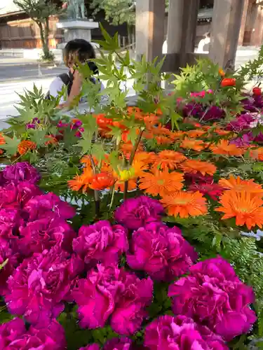 宮地嶽神社の自然