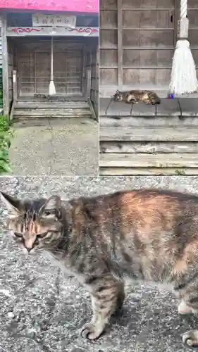 入舟稲荷神社(北海道)