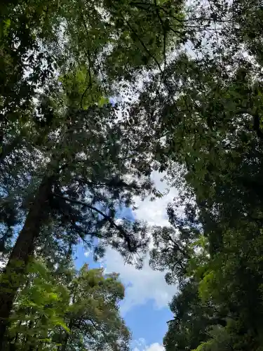 元伊勢天岩戸神社(京都府)