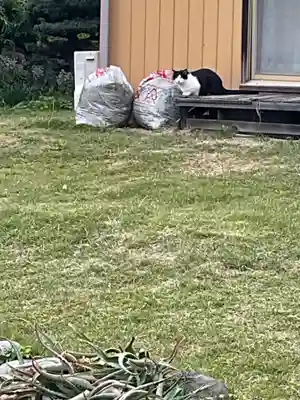 龍神社(愛知県)