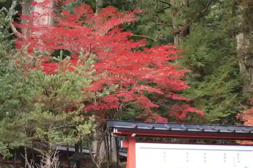 日光二荒山神社の自然