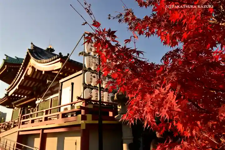 寛永寺不忍池弁天堂(東京都)