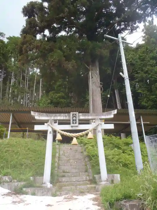 八幡社(愛知県)