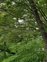 高山神社(群馬県)