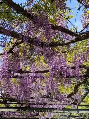 國領神社(東京都)