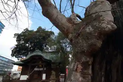 阿邪訶根神社の本殿・本堂