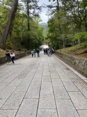 出雲大社(島根県)