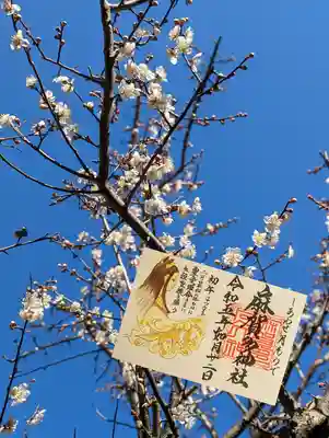 令和5年2月 『しあわせの月もうで』御朱印

こちらの御朱印でも「房総三国神社御朱印めぐり」のスタンプを捺していただけます😊