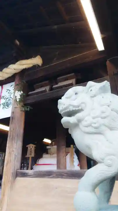 尾張大國霊神社(国府宮)の狛犬