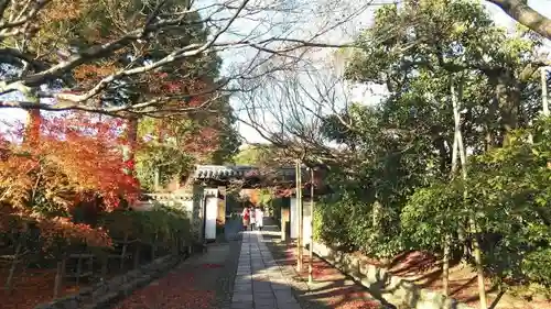 龍安寺の山門