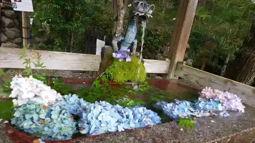 出雲大神宮の手水舎