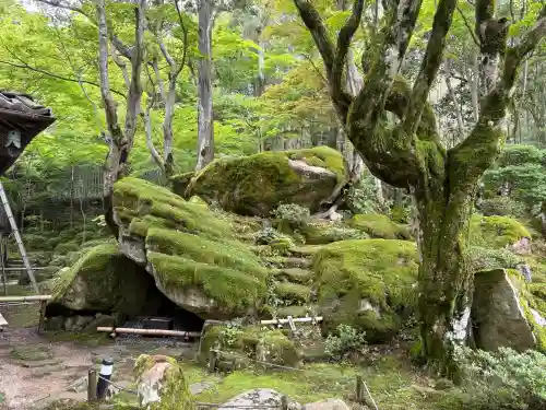 教林坊の{uncategorized: "未分類", other: "その他", undefined: "問題あり", building: "その他建物", grave: "お墓", sacred_gate: "鳥居", guardian: "狛犬", statue: "像", buddha: "仏像", history: "歴史", nature: "自然", garden: "庭園", animal: "動物", pagoda: "塔", temizu: "手水舎", mountain_gate: "山門・神門", sanctuary: "本殿・本堂", subordinate: "末社・摂社", art: "芸術", scenery: "景色", jizo: "地蔵", ema: "絵馬", goshuin: "御朱印", omikuji: "おみくじ", items: "授与品その他", amulet: "お守り", goshuincho: "御朱印帳", eats: "食事", festival: "お祭り", votive_dance: "神楽", shichigosan: "七五三参", wedding: "結婚式", experience: "体験その他", initially: "初詣", around: "周辺", anti_infection: "感染症対策"}