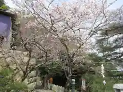 竹生島神社（都久夫須麻神社）(滋賀県)