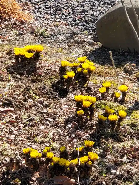 石都々古和気神社(福島県)
