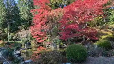 善峯寺(京都府)