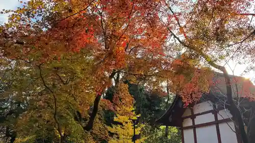 談山神社(奈良県)