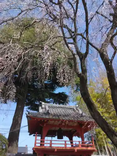 相頓寺(埼玉県)