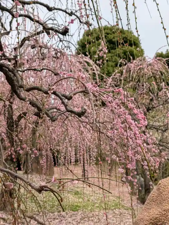 城南宮の{uncategorized: "未分類", other: "その他", undefined: "問題あり", building: "その他建物", grave: "お墓", sacred_gate: "鳥居", guardian: "狛犬", statue: "像", buddha: "仏像", history: "歴史", nature: "自然", garden: "庭園", animal: "動物", pagoda: "塔", temizu: "手水舎", mountain_gate: "山門・神門", sanctuary: "本殿・本堂", subordinate: "末社・摂社", art: "芸術", scenery: "景色", jizo: "地蔵", ema: "絵馬", goshuin: "御朱印", omikuji: "おみくじ", items: "授与品その他", amulet: "お守り", goshuincho: "御朱印帳", eats: "食事", festival: "お祭り", votive_dance: "神楽", shichigosan: "七五三参", wedding: "結婚式", experience: "体験その他", initially: "初詣", around: "周辺", anti_infection: "感染症対策"}