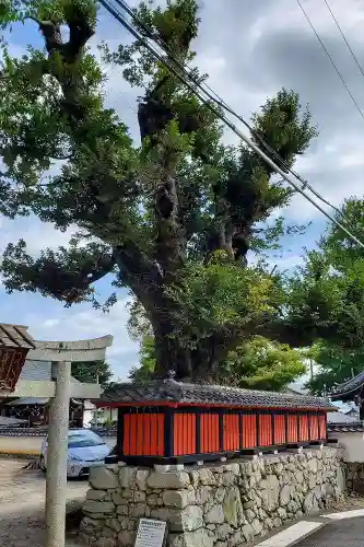 大将軍神社(滋賀県)