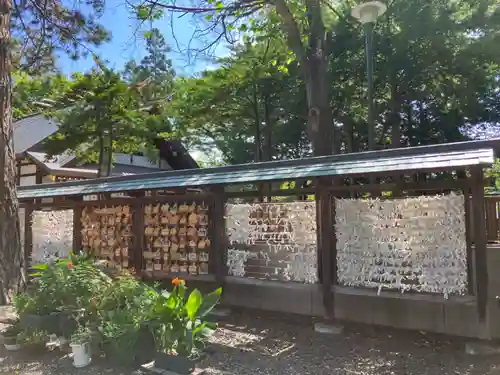 新琴似神社のおみくじ