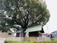 豊玉神社遥拝所(中社跡)(三重県)