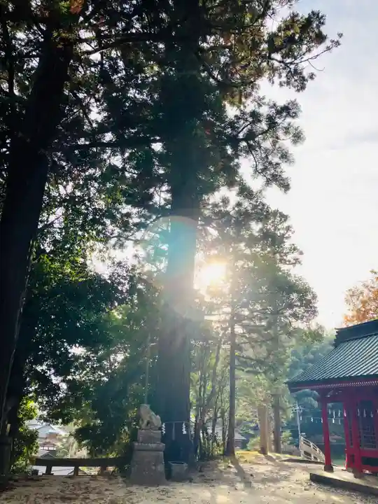 高瀧神社(千葉県)