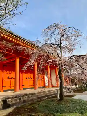 蓮華王院（三十三間堂）(京都府)