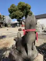 姫嶋神社の狛犬